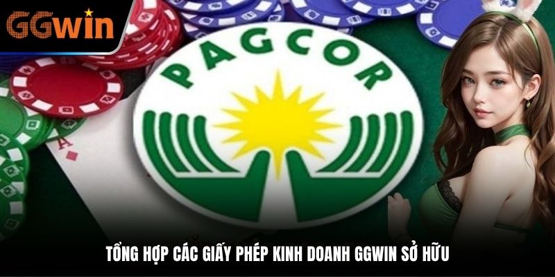Tổng hợp các giấy phép kinh doanh GGWIN sở hữu