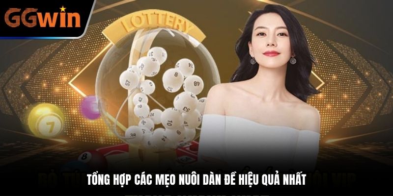 Tổng hợp các mẹo nuôi dàn đề hiệu quả nhất